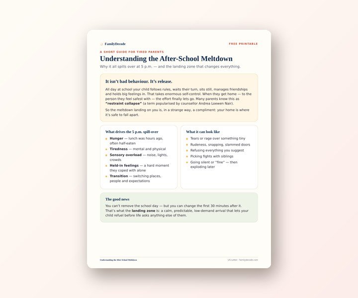 Understanding the After-School Meltdown preview